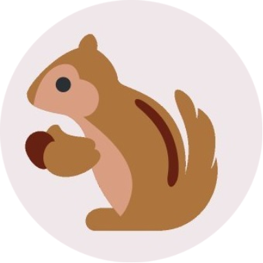 Squirrel Finance